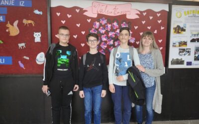 Županijsko natjecanje iz informatike