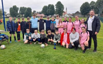 ŽUPANIJSKO NATJECANJE U NOGOMETU