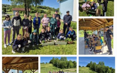 PROJEKT “ZDRAV ZA 5”