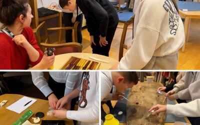 Druga radionica u sklopu projekta s Gradskim muzejom Virovitica – tema: konsolidacija drvenih predmeta