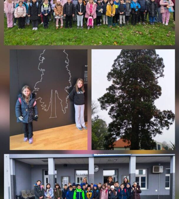 Drugaši putuju vlakom